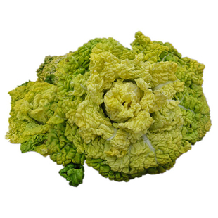 矮脚黄种籽耐寒黄心乌塌菜种乌塌菜种孑矮脚白菜菊花心乌塔菜籽种