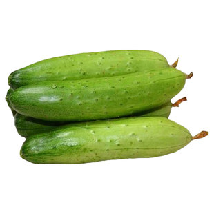 无架黄瓜种子爬满地青瓜种籽孑懒人春蔬菜盆栽苗大全籽种水果高产