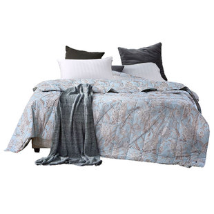 ESTEEM/宜庭匈牙利进口95白艾伯塔可水洗夏季鹅绒被【专柜同款】