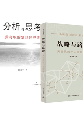 【全2册】分析与思考+战略与路径