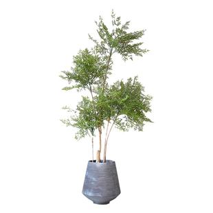 仿真绿植南天竹花盆栽北欧家居客厅落地植物室内仿真装饰假绿植树
