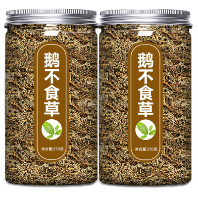 野生鹅不食草深山野采无硫新货