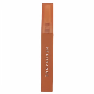 Makeup Nude Lip Gloss Waproof Liquid Matte Lipstick唇釉欧美