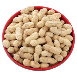 炒花生带壳原味熟花生新货现炒河南铁锅柴火炒花生