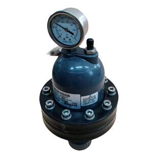 气囊式脉冲阻尼器 UPVC/不锈钢/PVDF材质脉动阻尼器 液体水缓冲器