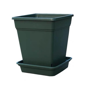 小果汀花盆方形加仑盆三代盆青山控根透气花盆月季绣球绿植树脂