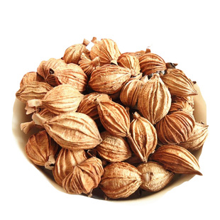 贵州特产 正宗贞丰连环砂仁 兴义农家晒干卤菜香料沙仁调味品散装