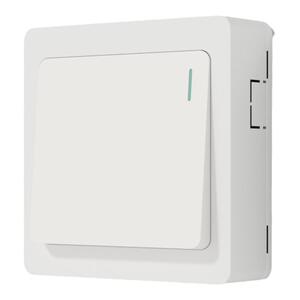 国际电工明装开关插座面板一开单控两开双控家用超薄墙壁明线开关