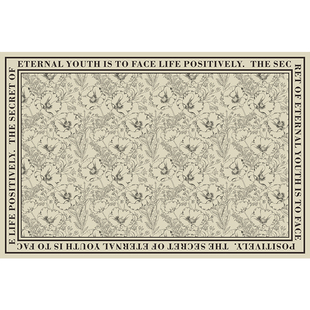 实木楼梯垫踏步垫免胶自粘硅胶可擦洗室内防滑垫家用地毯定制地垫