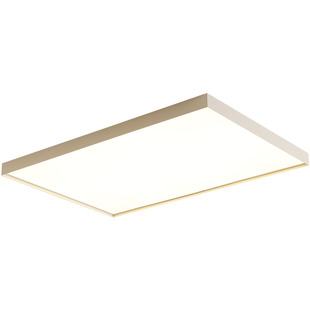 长方形led客厅灯简约现代吸顶灯创意主卧室灯年轻人餐厅书房灯具