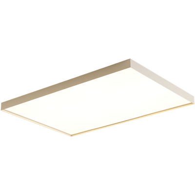 简约现代长方形客厅吸顶灯