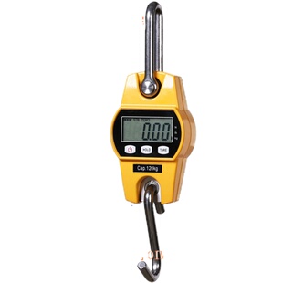巨鼎电子吊秤200高精度吊钩称磅工业手提测拉力计仪表60kg300公斤