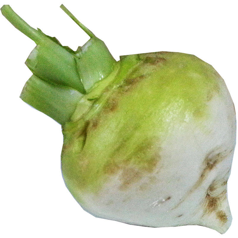 蔓菁圆菜头新鲜大头菜芜菁恰玛古蔓茎诸葛菜农家种植蔬菜23年