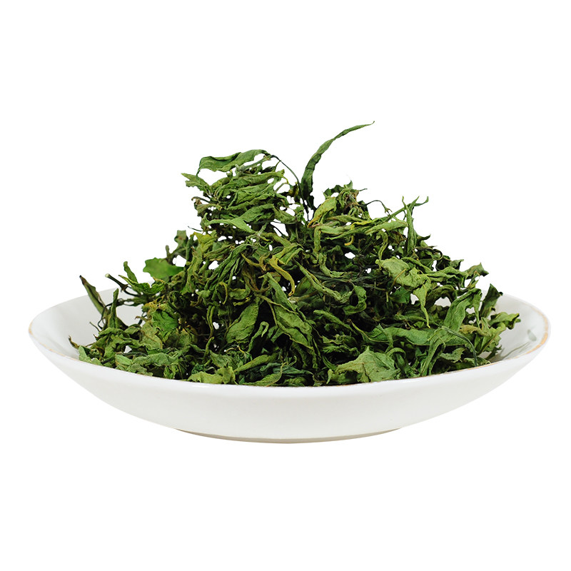 忧遁草优盾草优遁草黎王草鲜叶