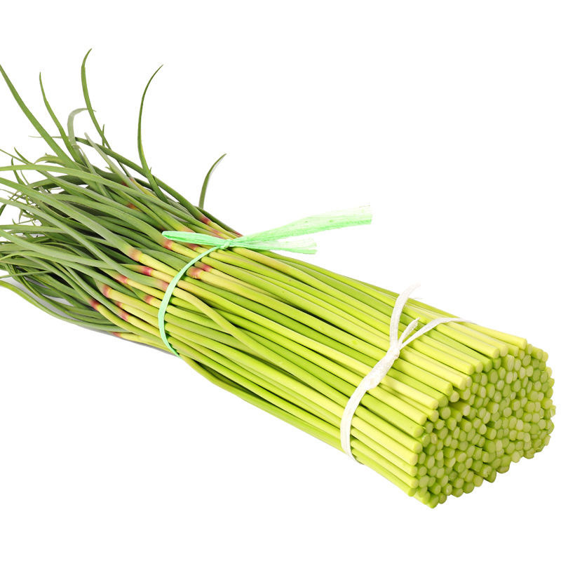 河南蒜苔 2026新货现摘蒜苔新鲜脆嫩农家新红帽短蒜苔蒜薹嫩蒜苗