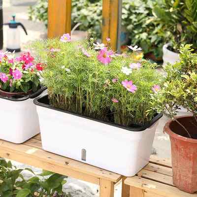 2加厚种菜盆阳台长方形花盆种植大家庭懒人塑料盆号蔬菜自浇水盆