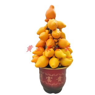 五代果盆栽供佛五代同堂盆景供奉寺庙干放福寿果带盆摆放新鲜耐放
