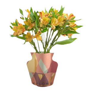 花点时间水仙百合鲜花云南基地直发鲜切家用水养花瓶插花六出花束