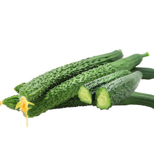 密农人家 新鲜黄瓜带刺长黄瓜 清脆爽口密云本地生吃黄瓜500g