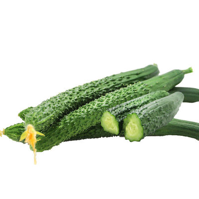新鲜带刺长黄瓜清脆爽口本地黄瓜