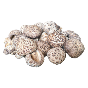 椴木花菇白花菇干货野外生长木头蘑菇柞树香菇湖北农家冬菇大花菇