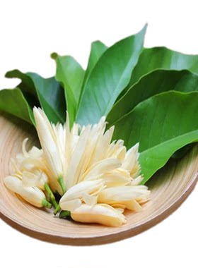精选白玉兰花鲜花黄角兰花缅桂花白兰花朵纯露当天新鲜摘冷链现发