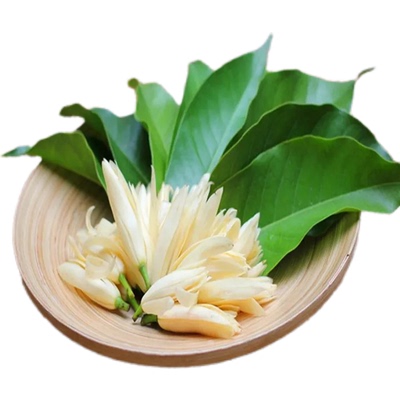 精选白玉兰花鲜花黄角兰花缅桂花白兰花朵纯露当天新鲜摘冷链现发
