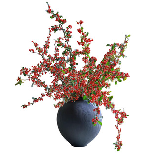 火棘果鲜花红色【真的新鲜切花】可做干花水养插花吉祥果顺丰包邮