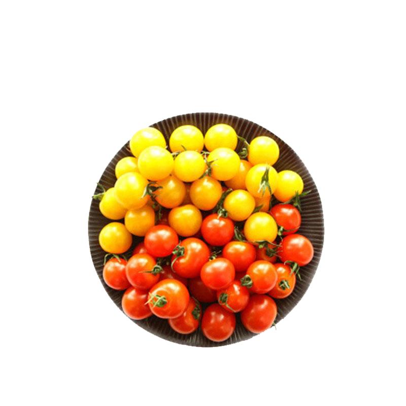 廊下滋味 樱桃小番茄400g 红黄圣女果新鲜蔬菜水果西红柿 5件包邮