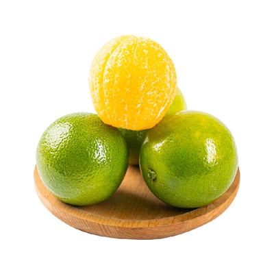 现货云南玉溪纯甜冰糖橙