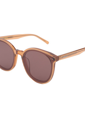 茶色新款防紫外线高级感墨镜