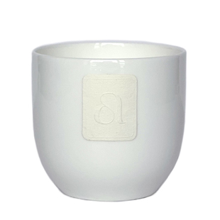 adorable而立 手工香薰蜡烛薄荷简约居家香氛扩香氛围感145g原创