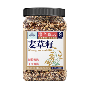 虎皮玄凤专用麦草籽鹦鹉粮 高纤维促消化缓解啄毛 天然谷物无添加