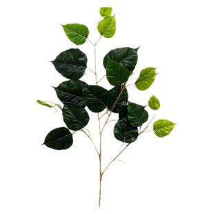 仿真菩提树叶乌桕叶榉树叶秋色过胶树叶真树工程造景装饰假树叶