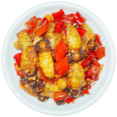 东北食用带籽母蚕蛾高蛋白质昆虫