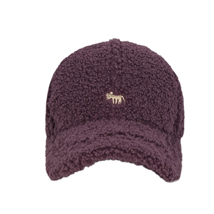 羊羔毛网红爆款高马尾小狐狸刺绣大头围加深可以戴鸭舌帽子保暖