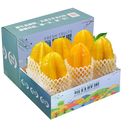 顺丰次日达树上熟下河甜杨桃10斤