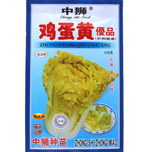 鸡蛋黄 白菜种子 中师黄心大白菜四季快菜种子好吃 高产 蔬菜种子