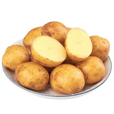 恩施小土豆新鲜黄心土豆农家蔬菜