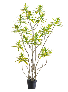 北欧室内大型仿真植物金边百合竹