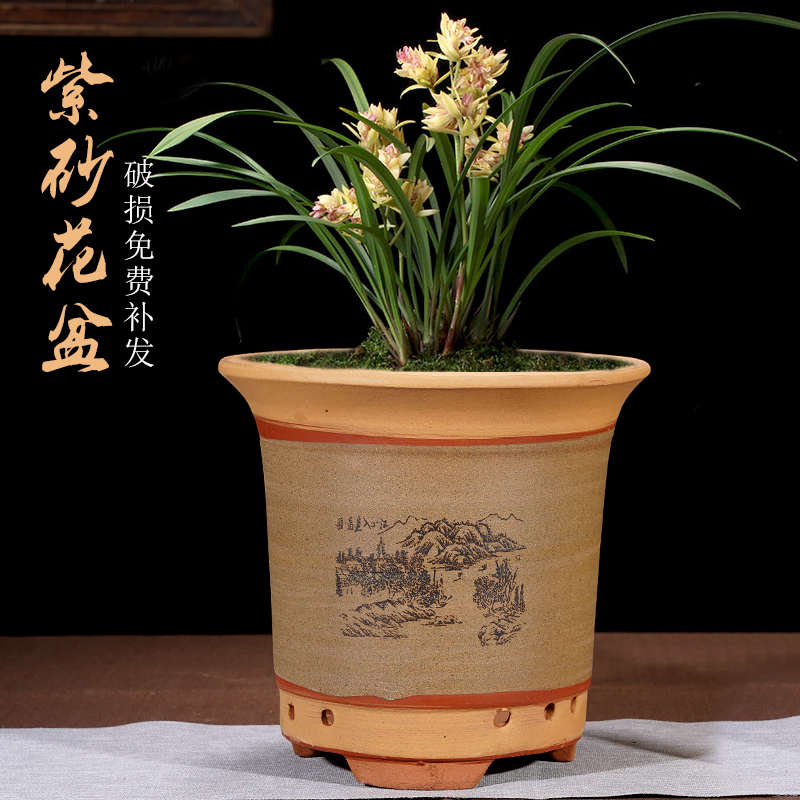 特大号紫砂兰花盆室内花卉君子兰花盆阳台大口径简约透气陶瓷花盆