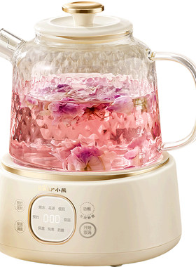 2026新款烧水养生壶官方旗舰正品