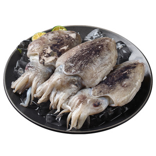 舟山特产东海小墨鱼海捕新鲜冷冻乌贼目鱼整只墨鱼仔花枝海鲜水产