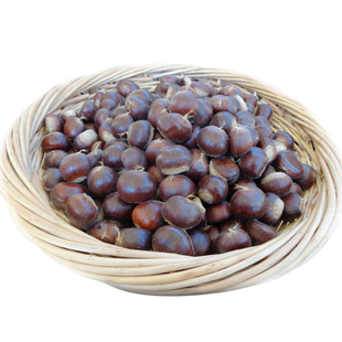 金秋铭栗现挑精选新板栗生新鲜迁西生栗子燕山油栗野生毛栗带壳
