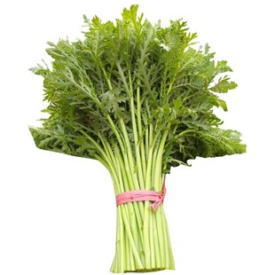 分多多三叉皇帝菜味道更浓高产大叶小叶中叶茼蒿种子耐寒当季新种