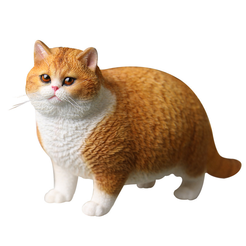 现货jxk16肥猫仿真猫咪模型