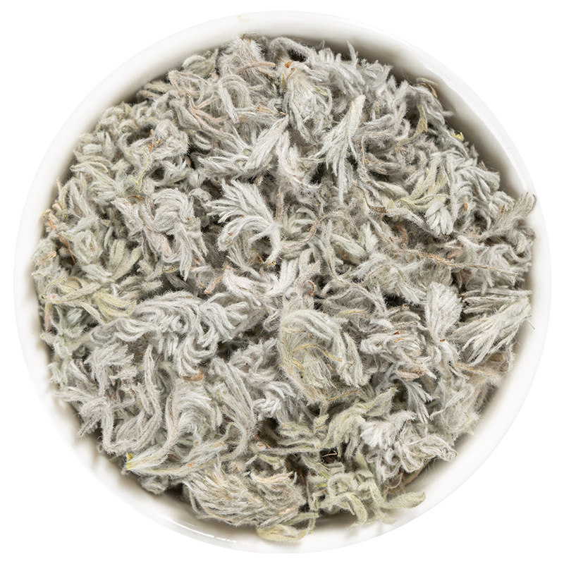 三月野生茵陈中药材旗舰店正品 白蒿 茵陈蒿干货新鲜绵茵陈