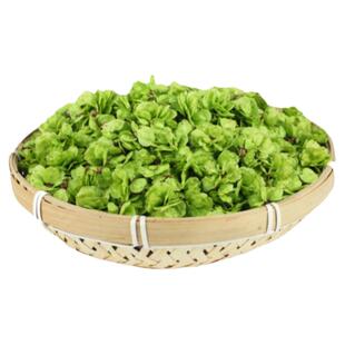 26年新鲜野生榆树花窝窝当季洋槐花农家野菜榆钱串子现摘现发包邮