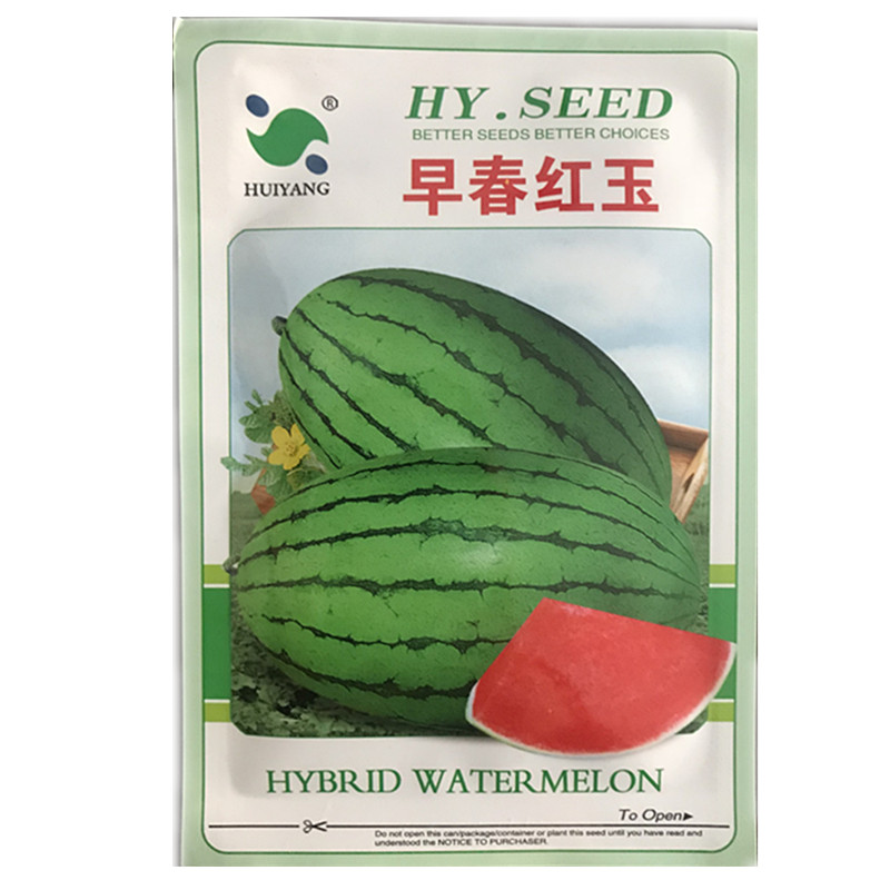 早春红玉西瓜种籽8424麒麟西瓜种子甜薄皮礼品2K懒汉黑皮西瓜种孑