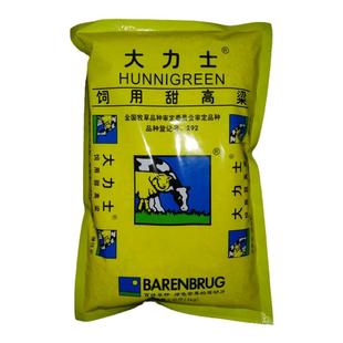 大力士甜高粱种子 正宗荷兰百绿集团进口牛羊鱼青贮 饲用牧草种籽
